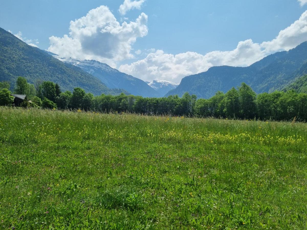 Ferienwohnung Le Grand Tetras Samoëns Exterior foto